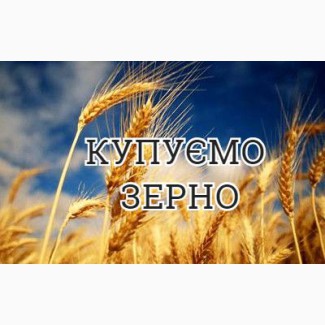 Постійно закуповуємо зерновідходи пшениці по всій території України