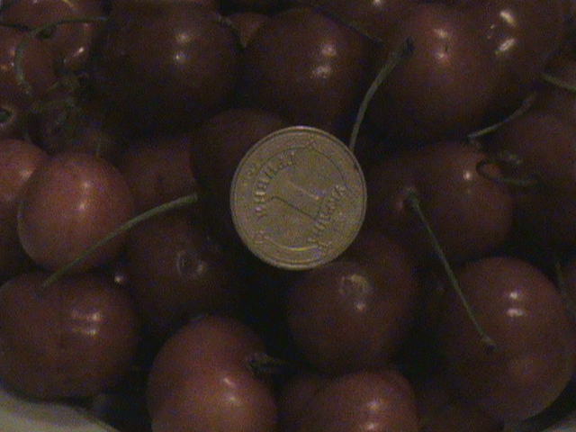 Фото 4. Продам черенки черешни, яблони, абрикоса, персика, вишни