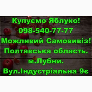 На постійній основі закуповую яблуко дрібним та великим оптом від населення і заготувачів