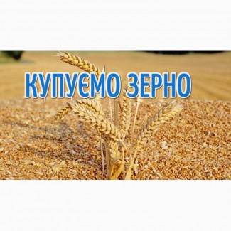 Компанія постійно закуповує у сільгоспвиробників Пшеницю