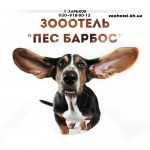Гостиница для собак в Харькове Пес Барбос