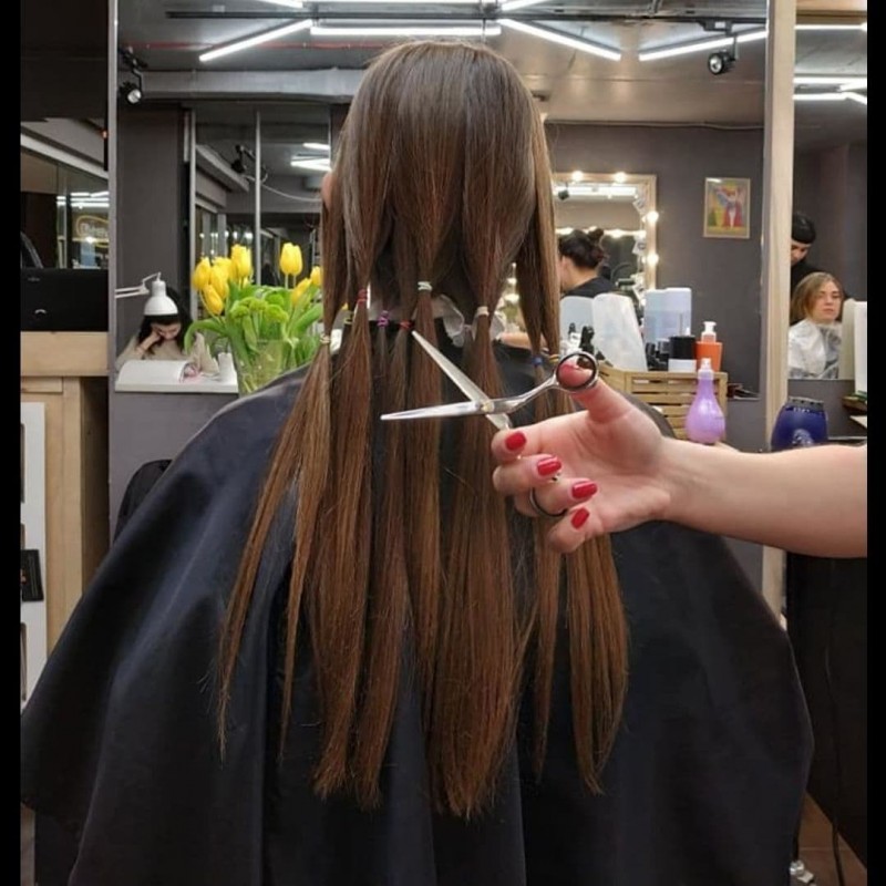 Фото 8. Салон красоты покупает волосы в Кривом Роге Скупка волос в Кривом Роге до 100000 грн
