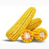 Насіння кукурудзи гібрид ФАБРІС ФАО 280 (2023 рік), ТОВ ТК Арт-Агро