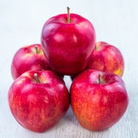 Фермерські яблука Ренет Симиренка