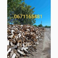 Продам дубовые, березовые и сосновые дрова