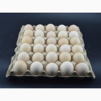 Линия по производству ячейки для яиц