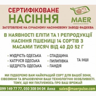 Посівний матеріал пшениці, сертифіковане насіння пшениці