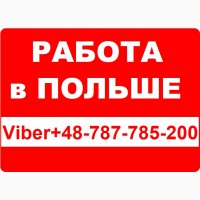 Бесплатное Трудоустройство в Польше. Workbalance –Легальная работа в Польше