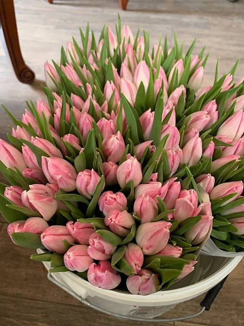 Фото 4. Тюльпани опт, 8 березня, квітиWet6