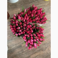 Тюльпани опт, 8 березня, квітиWet6
