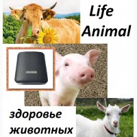 Лечение кошки, собаки, коровы и др. питомцев устройством Life Anima |Купить с кешбэк