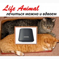 Лечение кошки, собаки, коровы и др. питомцев устройством Life Anima |Купить с кешбэк