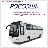 Автобус Луганск - Краснодон - Россошь