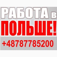 РАБОТА в Польше для МУЖЧИН 2019, работа в Польше. ЛЕГАЛЬНАЯ Работа в Польше