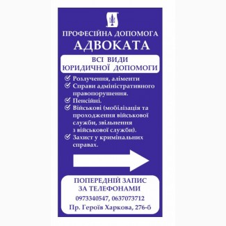 Професійні юридичні послуги адвоката