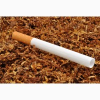 Супер цена на табак-Опал, Ксанти, Кентуки, Измир, Басма, Вирж Голд