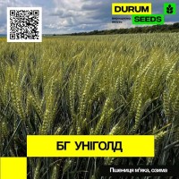 Насіння пшениці BG Unigold / БГ Уніголд (озима / остиста) - Biogranum D.O.O., (Болгарія)