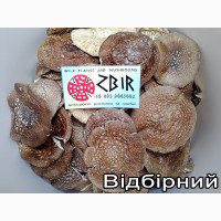 Мухомор ПАНТЕРНИЙ (Amanita Pantherina), сушені КАПЕЛЮШКИ, сезон 2023