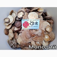 Мухомор ПАНТЕРНИЙ (Amanita Pantherina), сушені КАПЕЛЮШКИ, сезон 2023