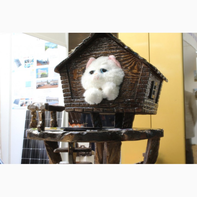 Фото 2. Купить домики для кошек по самым привлекательным ценам