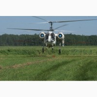 Инсектицидная защита сои от гусеницы репейницы вертолетом