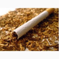 Продам тютюн нарізка лапша, Вірджинія, Берли, Тернопольский