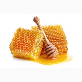 Закупка мёда без антибиотиков