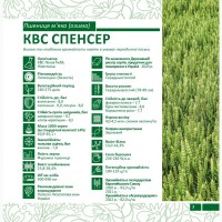 Продам насіння озимої Пшениці сорт КВС Спенсер