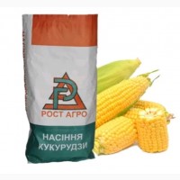 Семена кукурузы Нокс ФАО 200 Рост Агро