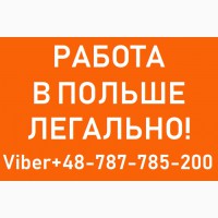 РОБОТА в Польщі. Работа в Польше. Безкоштовні вакансії. Легальна робота, официально