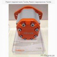 Ремонт гидромоторов Turolla, Ремонт гидронасосов Turolla