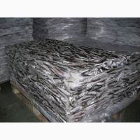 Холодильные камеры для рыбы и морепродуктов Алькантар ООО