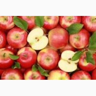 Есть покупатели яблок для переработки, для рынков и на экспорт от 10 тонн