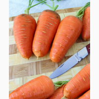Розпродаж моркви за зниженими цінами