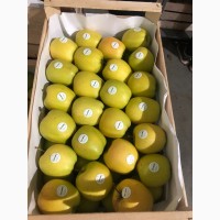 Продам яблука експортної якості є обєм Вінницька обл.Вінницький р-н, є розмір 65-75 і 75