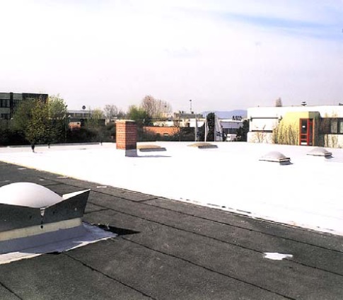 Фото 2. Крыши – ремонт и гидроизоляция Seel-Partner