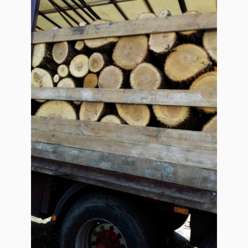 Фото 7. Продам в больших количествах дрова твердых пород (дуб, ясень, акация), фруктовые дрова