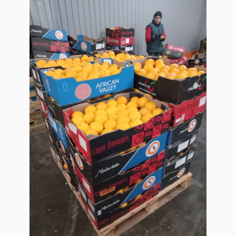 Фото 10. Гурт продаж фрукти овочі ціни опт фрукты овощи апельсин лимон мандарин, Вишневе