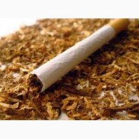 Тютюн сорт Берлі та сорт Вірджінія-естественной ферментации!низька цина