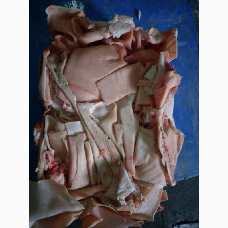 Фото 3. Продам шкіру свинну