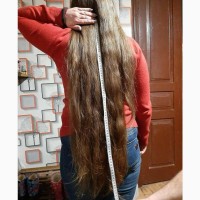 Жіночі, чоловічі та дитячі коси купуємо від 35 сантиметрів у Києві.Стрижка у подарунок