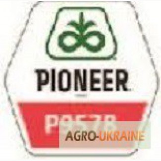 Семена кукурузы Pioneer П9578