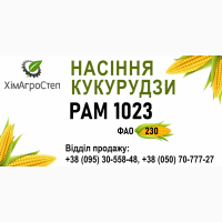 ТОВ ХімАгроСтеп пропонує насіння кукурудзи PAM 1023 (ФАО 230)