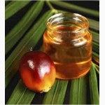 RESPLANTA PALM – водорастворимое масло пальмы, 25 мл