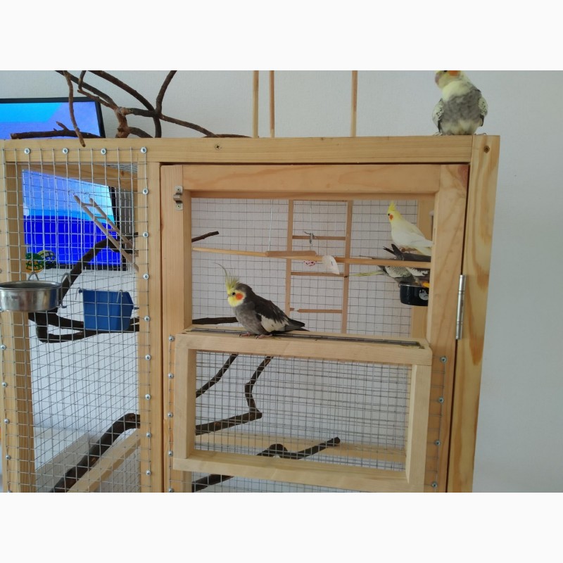 Фото 2. Изготовление клетки вольеры для декоративных птиц и др Ваших питомцев