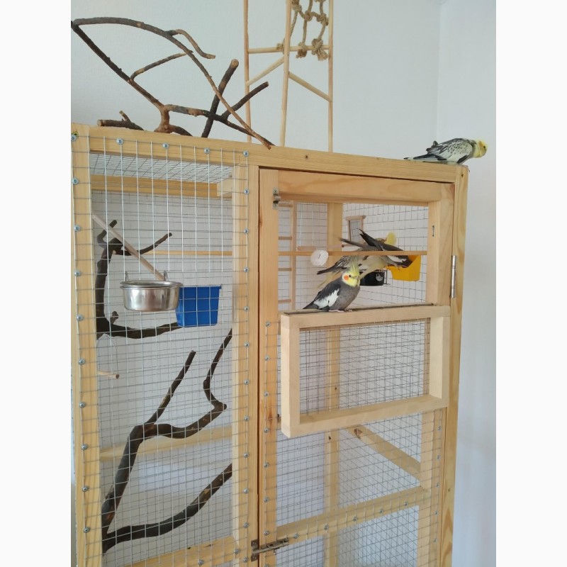 Фото 3. Изготовление клетки вольеры для декоративных птиц и др Ваших питомцев