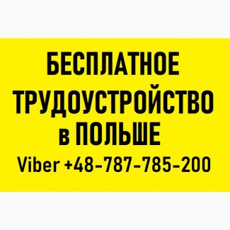 РАБОТА в ПОЛЬШЕ для Украинцев | Бесплатное трудоустройство