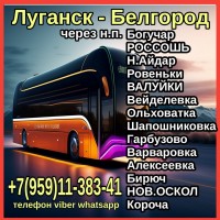 Пассажирские перевозки в Луганск - Белгород - Луганск