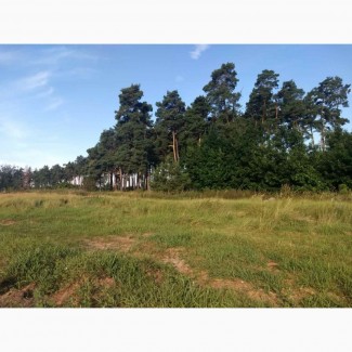 Земельный участок для строительства площадью 0, 5000 га в с. Дерновка