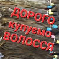 ДОРОГО Купимо ваше волосся по всій Україні